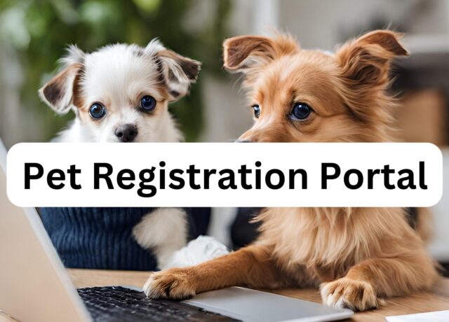 Registration Portal Application
