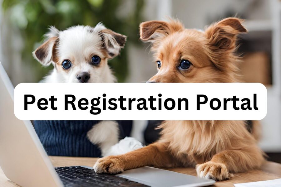 Registration Portal Application