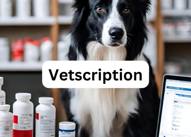 Vetscription