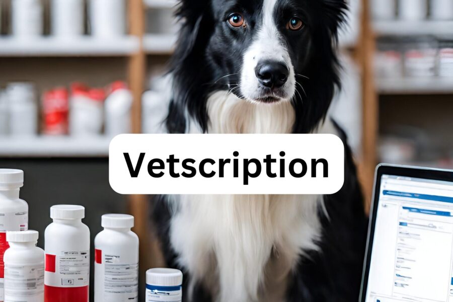 Vetscription